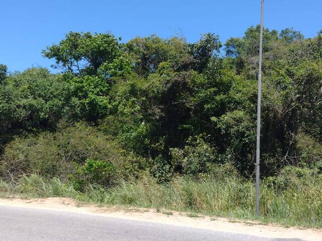 Venda em Peró - Cabo Frio