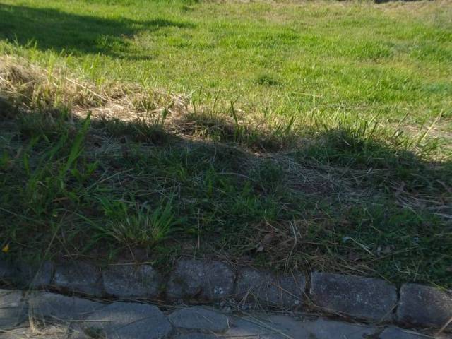 #TA-309 - Terreno para Venda em Cabo Frio - RJ - 3